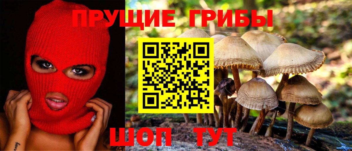 Псилоцибиновые грибы MAGIC MUSHROOMS  Вход с VPN  Кузнецк 
